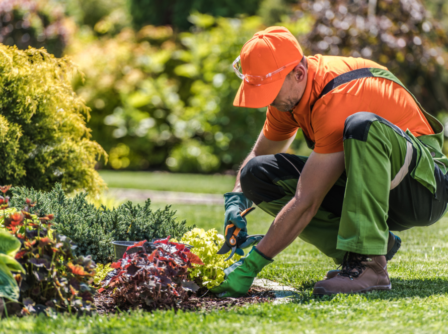 jardinero en comunidades de propietarios